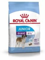 Royal Canin RC Для щенков гигантских пород: 8-18 мес. (Giant Junior) 30310350R0 3,5 кг 40955 (2 шт)