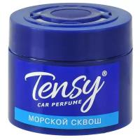 Ароматизатор TENSY морской сквош КZ-03