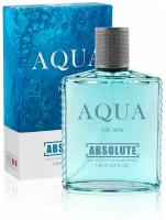 Туалетная вода мужская 100мл, Absolute Aqua