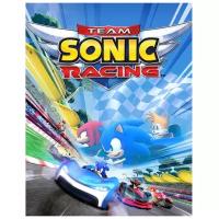 Игра Team Sonic Racing