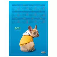 Календарь настенный листовой А3, OfficeSpace "French bulldog", 2021г