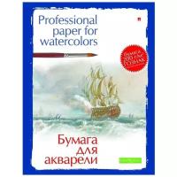 Папка Альт 42 х 29.7 см 200 г/м², 20 л. белый A3 42 см 29.7 см 200 г/м²