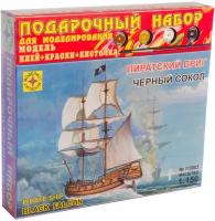 Сборная модель Моделист Пиратский бриг Черный сокол, 1/150, подарочный набор ПН115003