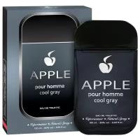 Apple Parfums туалетная вода Apple pour Homme Cool Gray, 100 мл