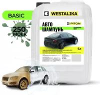 Автошампунь концентрат для бесконтактной мойки Piton CAR SHAMPOO BASIC 5 л