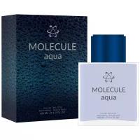 KPK Parfum Мужской Molecule Aqua KPK Parfum Туалетная вода (edt) 100мл