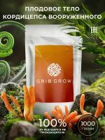 Кордицепс вооруженный плодовое тело Grib Grow