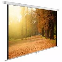 Рулонный матовый белый экран cactus WallExpert CS-PSWE-200x125-WT, 90", белый