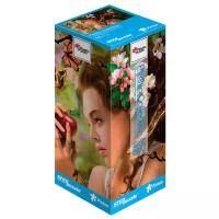 Пазл Step puzzle Plastic Collection Искушение (98035), элементов: 500 шт