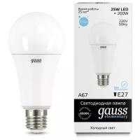 Лампа Gauss LED Elementary 25W A67 73235 6500K E27