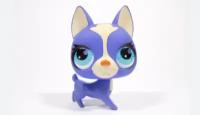 Littlest Pet Shop собачка Singles Boston Terrier (#2750)