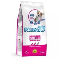 Сухой корм для щенков Forza10 Maintenance Puppy Junior Small/Medium, рыба 2 кг