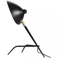 Лампа декоративная ST Luce Spruzzo SL305.404.01, E27, 40 Вт, цвет арматуры: черный