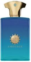 Amouage Figment Man парфюмированная вода 50мл