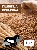 Пшеница кормовая для птиц и животных 1 кг