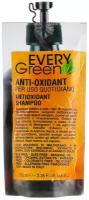 Миниатюра Шампунь EVERYGR. Anti-Oxidant TRAVEL, DIKSON, EVERY GREEN 100 мл