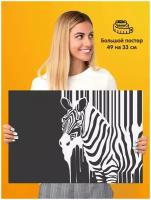 Постер плакат Zebra Зебра