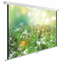 Рулонный матовый белый экран cactus WallExpert CS-PSWE-200x200-WT, 110", белый