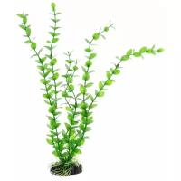 Пластиковое растение Barbus Бакопа зеленая 30 см