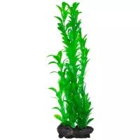 Растение Tetra DecoArt Plantastics Hygrophila (L) 30см, с утяжелителем