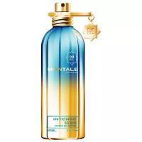 MONTALE парфюмерная вода So Iris Intense, 100 мл