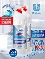 Универсальное дезинфицирующее средство Domestos Professional Свежесть Атлантики 1 л. х 2 шт