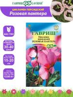 Семена Цикламен Розовая пантера персидский 3 шт