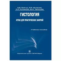 Бойчук Н.В., Исламов Р.Р., Кузнецов С.Л., Челышев Ю.А. "Гистология. Атлас для практических занятий. Учебное пособие"