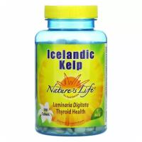 Nature's Life Icelandic Kelp (Бурые водоросли)500табл