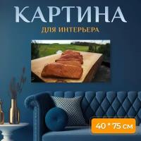 Картина на холсте "Копченый лосось, курильщик, природа" на подрамнике 75х40 см. для интерьера