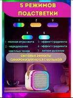 Портативная колонка с двумя микрофонами для караоке и подсветкой