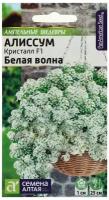 Семена цветов Алиссум Кристалл "Белая Волна", F1, ампельный, 0,01 г