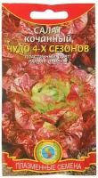 Семена Салат кочанный "Чудо 4-х сезонов", 0,5 г