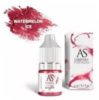 AS Company Пигмент для татуажа губ Watermelon ice (Арбузный лед), 6 мл (AS Pigments, Алина Шахова, Пигменты Шаховой)