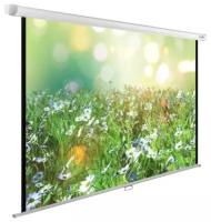 Экран Cactus 200x200см WallExpert CS-PSWE-200x200-WT 1:1 настенно-потолочный рулонный