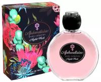 Today Parfum / Aphrodisiac Night Wish, 100 мл / Афродозиак Найт Виш / Женская туалетная вода