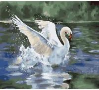 Картина по номерам Лебедь белая 40х50 см