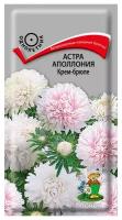 Астра Аполлония Крем-брюле хризантемовидная 0,3г Одн 70см (Поиск)