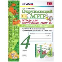 УМК ОКР. МИР. Тетрадь для практ. РАБ. С дневн. Набл. 4 класс