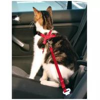 TRIXIE автомобильный ремень безопасности для кошек (20 – 50 см)