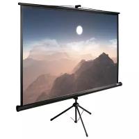 Матовый белый экран cactus TriExpert CS-PSTE-180x180-BK, 100", черный