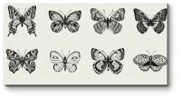 Модульная картина Черно-белые бабочки 210x105
