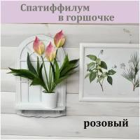 Спатифиллум розовый в горшочке / Реалистичный искусственный цветок / Спатифиллум из латекса