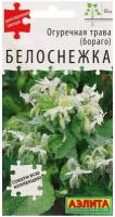 Семена Огуречная трава Белоснежка (Аэлита) 0,3г Диковинные овощи