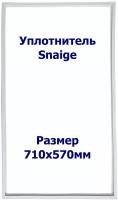 Уплотнитель для холодильника Snaige (Снайге) RF 34 SM. (Морозильная камера), Размер - 710x570 мм. SK