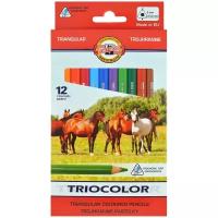 KOH-I-NOOR Карандаши цветные "Triocolor" 12 цветов (3142/12)