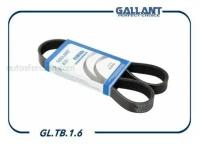 Gallant / gltb16 / Ремень поликлиновый