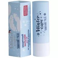 Защитный уход для губ Winter Care. Зимний уход от холода и мороза 4г