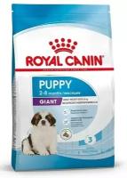 Royal Canin Giant Puppy для щенков до 8 месяцев гигантских пород Курица, 3,5 кг