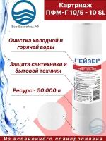 Сменный картридж ПФМ-Г 10/5 SL10", Гейзер 28231, для холодной и горячей воды, 1 шт